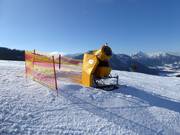 Efficient snow cannon in the ski resort of Sudelfeld