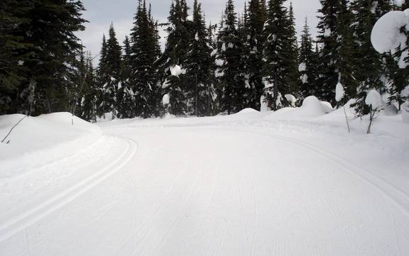 Cross-country skiing North Okanagan – Cross-country skiing Silver Star