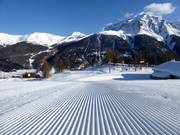 Perfect slope preparation in the ski resort of Zuoz