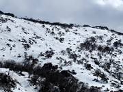 Difficult slopes at the North Perisher T-Bar