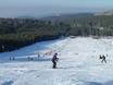Ski resorts for beginners in the Black Forest (Schwarzwald) – Beginners Mehliskopf