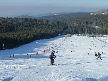 Ski resorts for beginners in the County of Rastatt – Beginners Mehliskopf