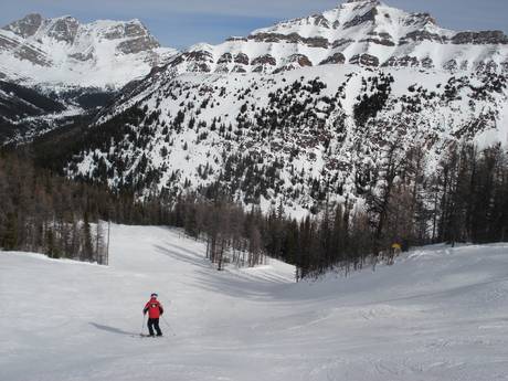 Slope offering Canadian Rockies – Slope offering Lake Louise