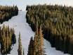Ski resorts for advanced skiers and freeriding Front Range – Advanced skiers, freeriders Loveland