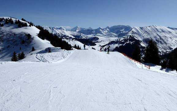 Saane Valley (Saanetal): Test reports from ski resorts – Test report Rinderberg/Saanerslochgrat/Horneggli – Zweisimmen/Saanenmöser/Schönried/St. Stephan
