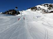 Easy Hochalm-Heimalm slopes (with some steeper sections)
