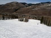 Slopes on the Front Side leading towards Vail