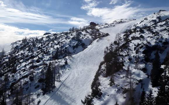 Ski resorts for advanced skiers and freeriding Salzkammergut Mountains – Advanced skiers, freeriders Feuerkogel – Ebensee