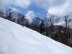 Ski resorts for advanced skiers and freeriding Hokkaido – Advanced skiers, freeriders Furano