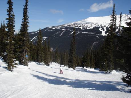 Slope offering Pacific Ranges – Slope offering Whistler Blackcomb