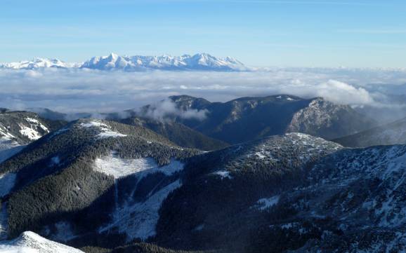 Žilina (Žilinský kraj): Test reports from ski resorts – Test report Jasná Nízke Tatry – Chopok