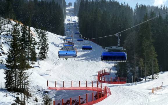 Alpsee Grünten: best ski lifts – Lifts/cable cars Ofterschwang/Gunzesried – Ofterschwanger Horn
