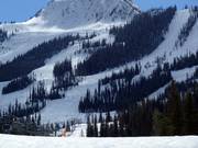 View of the mogul slopes at the Kicking Horse ski resort