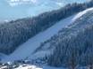 Ski resorts for advanced skiers and freeriding Schladming-Dachstein – Advanced skiers, freeriders Ramsau am Dachstein – Rittisberg