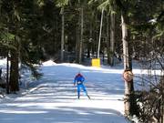 Cross-country trail in Borovets