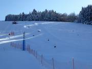 FIS race course/closed training slope