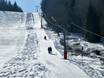Ski lifts Southern Black Forest – Ski lifts Menzenschwand (St. Blasien) – Spießhorn