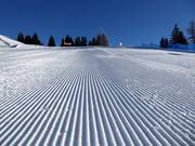 Perfect slope grooming in the Meran 2000 ski resort