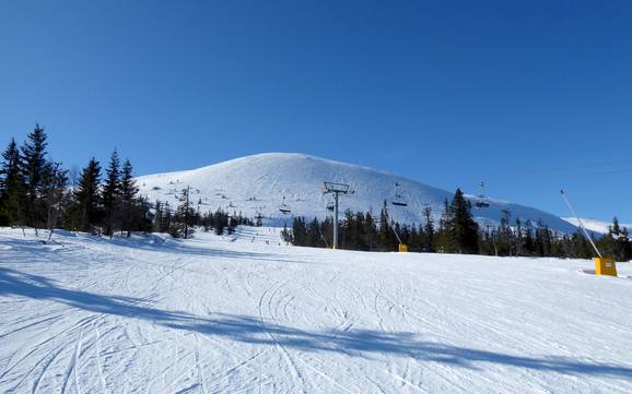 Hedmark: size of the ski resorts – Size Trysil