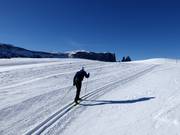 Cross-country skiing on the Alpe di Siusi (Seiser Alm)