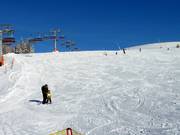 Easy slopes at the Hachau chairlift