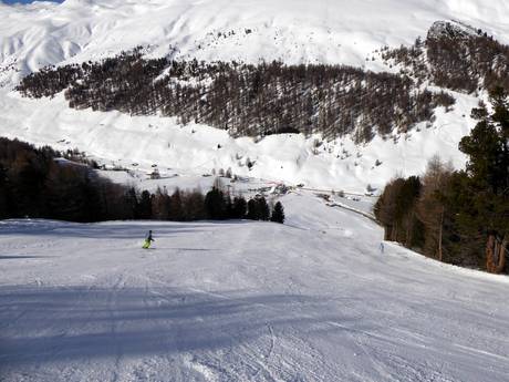 Ski resorts for advanced skiers and freeriding Venosta Valley (Vinschgau) – Advanced skiers, freeriders Belpiano (Schöneben)/Malga San Valentino (Haideralm)