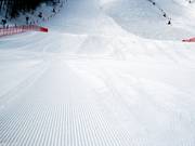 Corduroy soft - perfectly prepared slope at Rosa Khutor