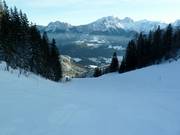 Alm-Loderbichl ski slope