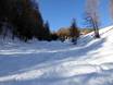 Ski resorts for advanced skiers and freeriding Skirama Dolomiti – Advanced skiers, freeriders Pejo 3000