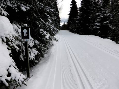 Cross-country skiing Southern Black Forest – Cross-country skiing Todtnauberg