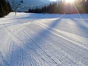 Freshly groomed beginner slope in the Marmot Basin ski resort