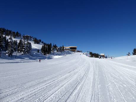 Ski resorts for beginners in the Erste Ferienregion im Zillertal – Beginners Kaltenbach – Hochzillertal/Hochfügen (SKi-optimal)