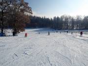 Landsberied ski slope