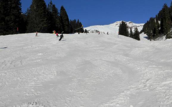 Ski resorts for beginners in the Haslital – Beginners Meiringen-Hasliberg