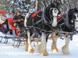 Horse Drawn Sleigh Dining Tours
