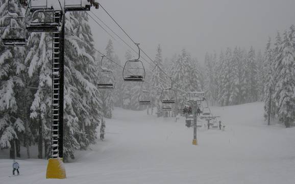 Biggest height difference in Oregon – ski resort Timberline