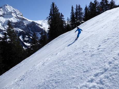 Ski resorts for advanced skiers and freeriding Simmental – Advanced skiers, freeriders Adelboden/Lenk – Chuenisbärgli/Silleren/Hahnenmoos/Metsch