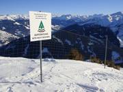 Restricted area for reforestation - no access for skiers