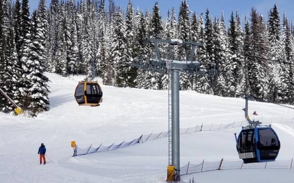 North Okanagan: best ski lifts – Lifts/cable cars Silver Star