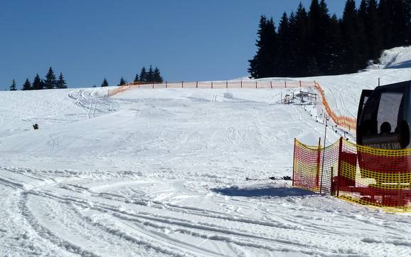 Ski resorts for beginners in the Alpsee Grünten Holiday Region – Beginners Ofterschwang/Gunzesried – Ofterschwanger Horn