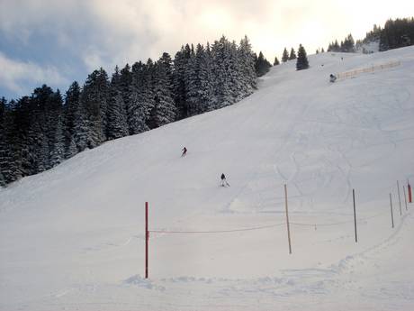 Ski resorts for advanced skiers and freeriding Tannheimer Tal – Advanced skiers, freeriders Jungholz