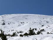 Powder slopes in the Markudjik ski centre