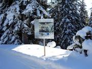 Wildlife protection areas are off limits for skiers