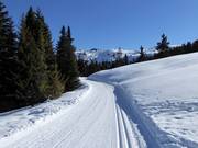 Platschjoch high-altitude cross-country trail