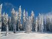 Salzburg Slate Alps: Test reports from ski resorts – Test report Monte Popolo – Eben im Pongau