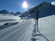 High-altitude cross-country trail on the Pitztal Glacier