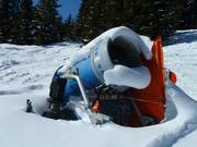Camouflaged and secured snow cannon
