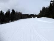 Perfectly groomed slope in Mont-Sainte-Anne