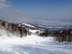 East Asia: Test reports from ski resorts – Test report Furano