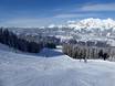 Slope offering Ski amadé – Slope offering Schladming – Planai/​Hochwurzen/​Hauser Kaibling/​Reiteralm (4-Berge-Skischaukel)